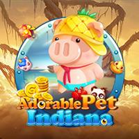 Adorable Pet Indiana